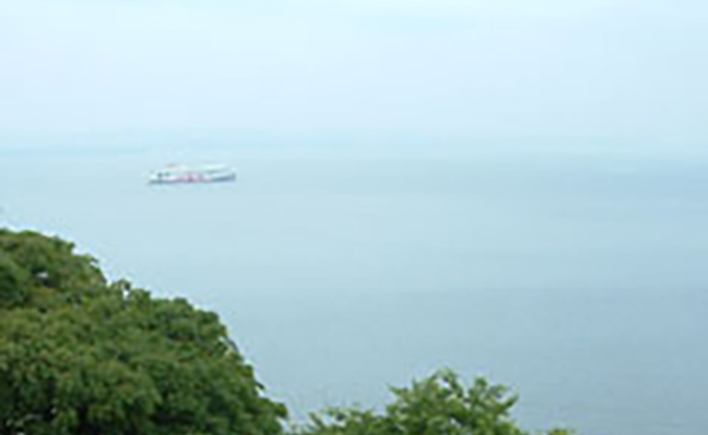 金色（こんじき）